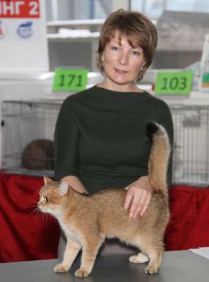 �������� ����� '������� ���-�����' 30 ������-1 ������� 2013., ������������ ��� 2998